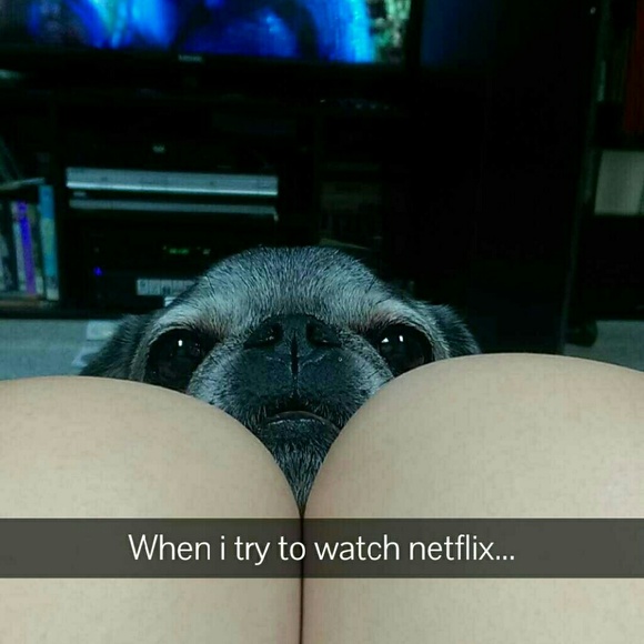 Moving soon!!! Make offers!! - Picture 4 of 4