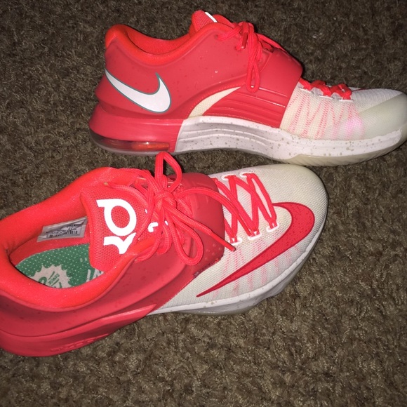 KD Egg Nogs - Picture 1 of 4