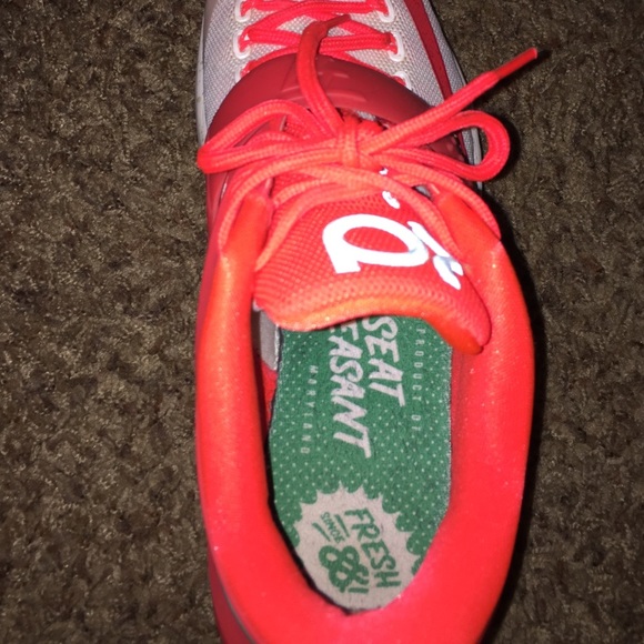 KD Egg Nogs - Picture 3 of 4