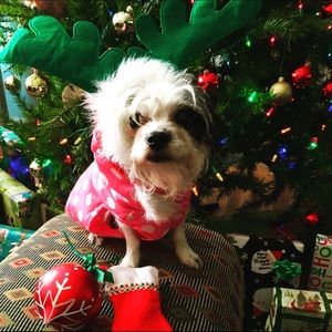 Happy holidays 🌲🎉😍love porsha