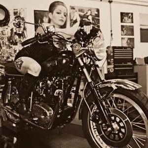 Meet your Posher, Robin