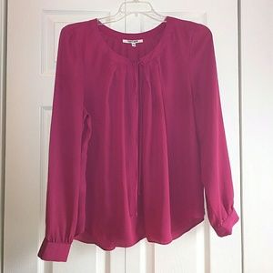 Cranberry Blouse by Daniel Rainn