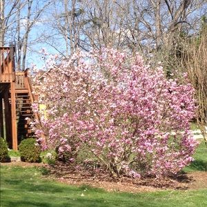 Meet your Posher, Karla