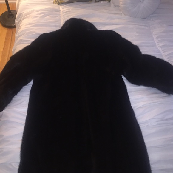 Full length Saga Ranch Mink - Picture 3 of 4