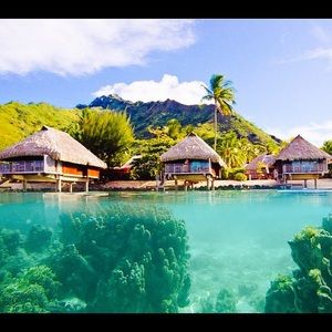 Meet your Posher, Chanelle & trinity