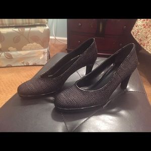 Vaneli pumps