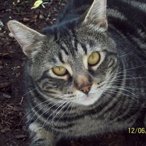 Meet your Posher, Ann