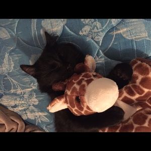 Meet your Posher, Alyssa