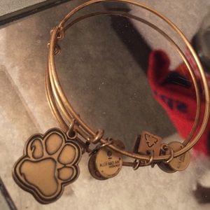 brand new Alex & Ani bracelet