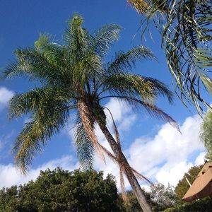 Meet your Posher, Kaitlyn