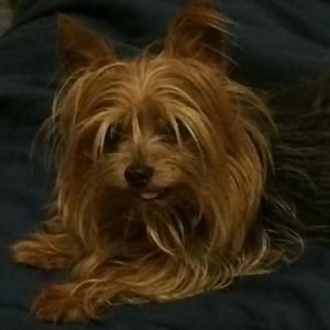 Meet your Posher, Kevin