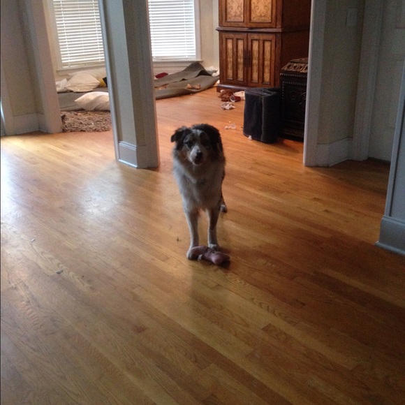 Meet your Posher, Claire