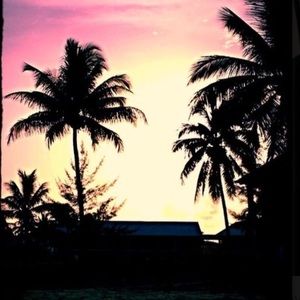 Meet your Posher, Christi