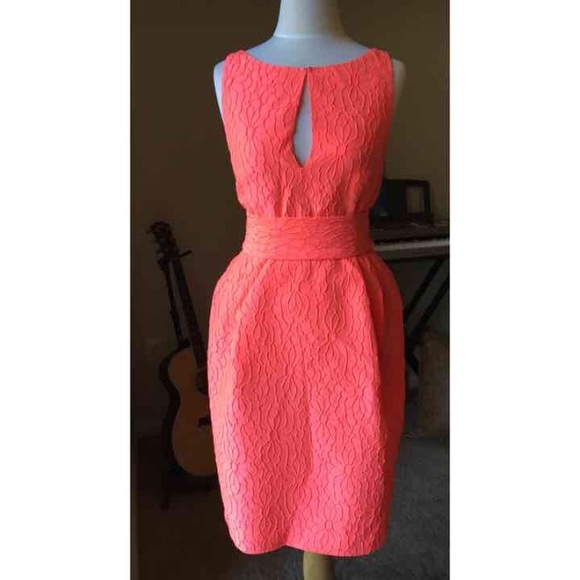 J crew collection dress