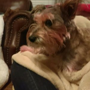 Meet your Posher, Jessi