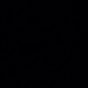 Meet your Posher, Lakeisha