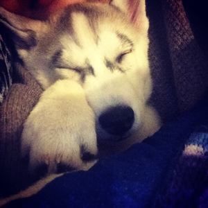 Meet your Posher, Jane