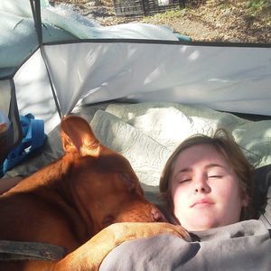 Meet your Posher, Lacey