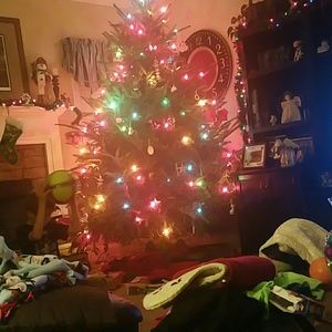 Meet your Posher, Teri