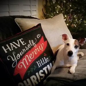 Meet your Posher, Ellen