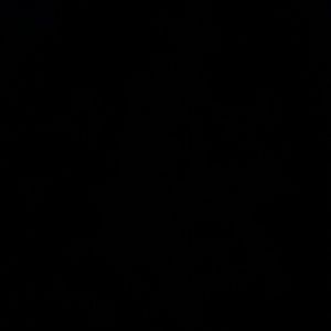 Meet your Posher, Cat