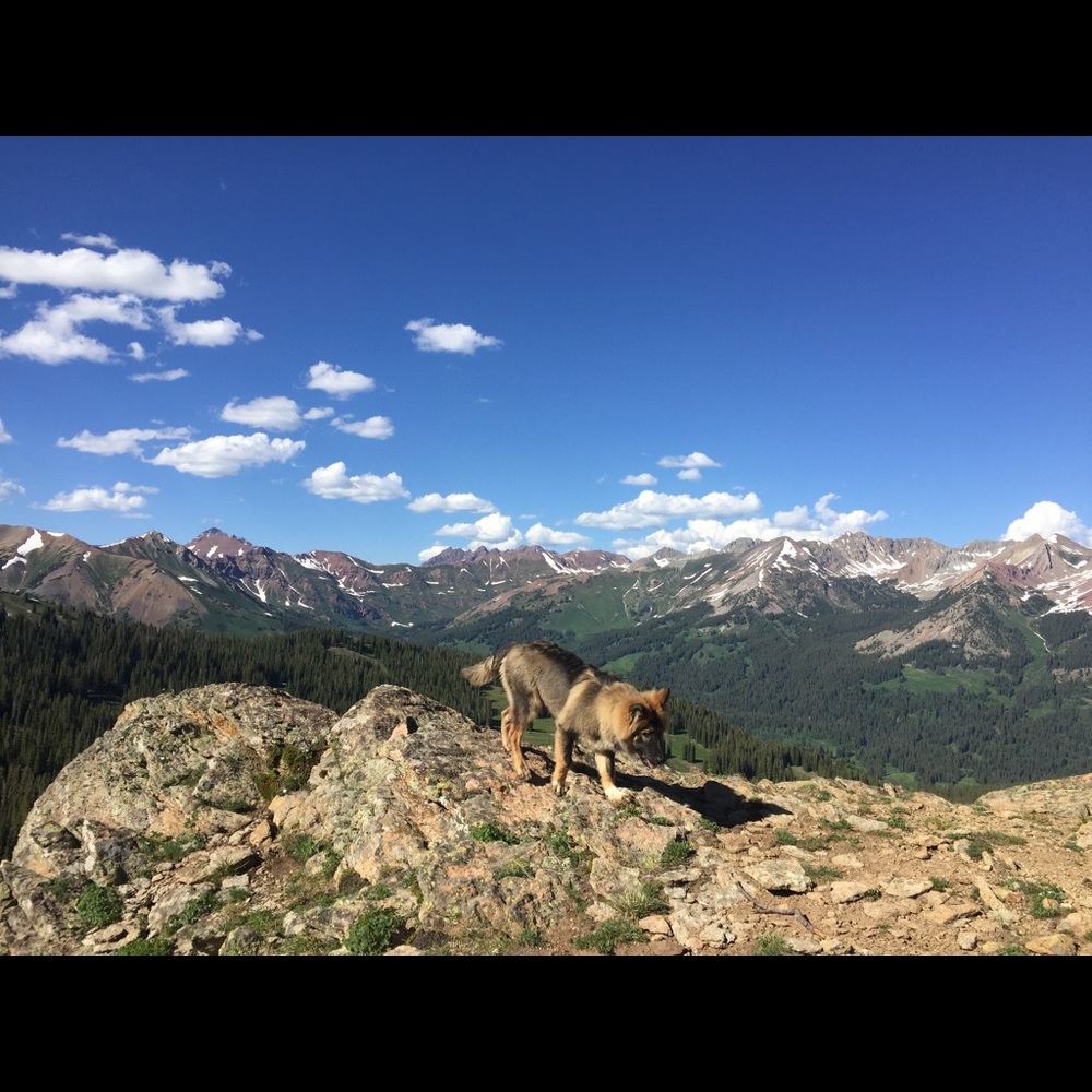 Meet your Posher, Mary