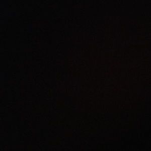 Meet your Posher, Mackenzie