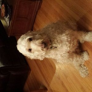 Meet your Posher, Tonya