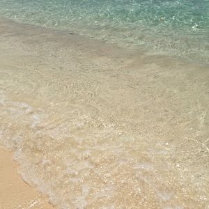 Meet your Posher, Perla