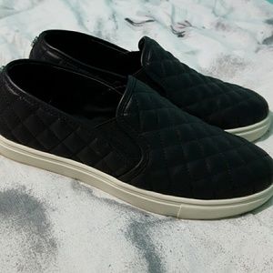 Steve Madden Eccentric-Q Sneakers