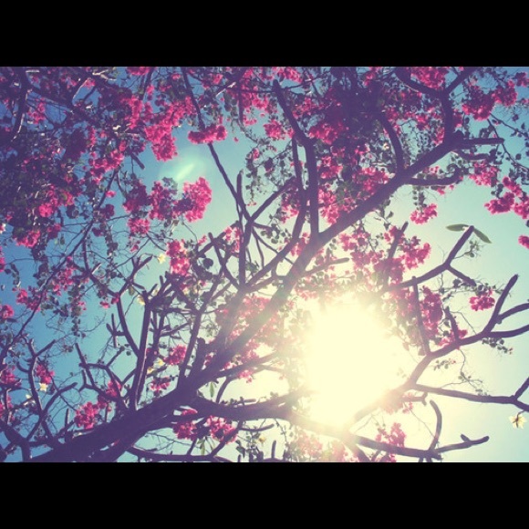 I'm moving my Poshmark account to..