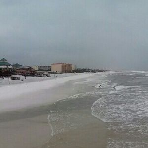 Meet your Posher, Jael