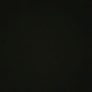 Meet your Posher, Daisy