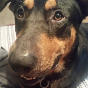 Meet your Posher, Brianna