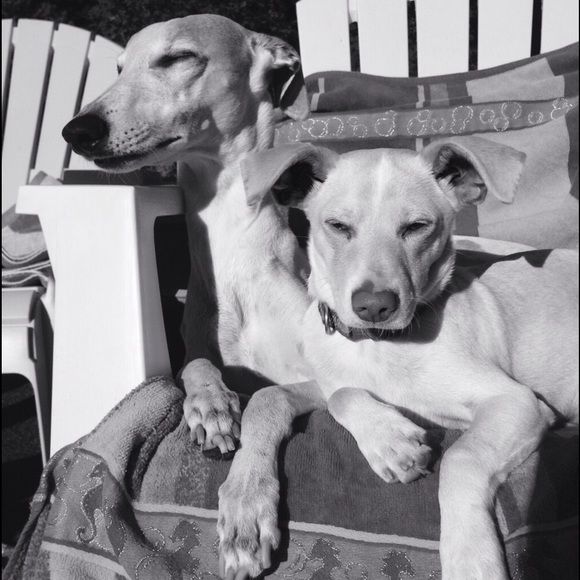 Meet your Posher, Shannon - Picture 3 of 7