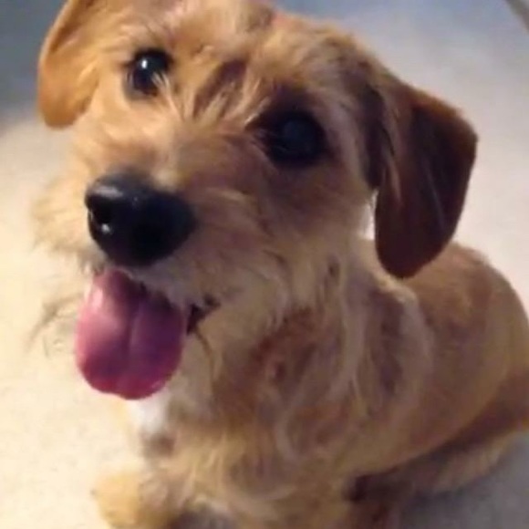 Meet your Posher, Shannon - Picture 4 of 7