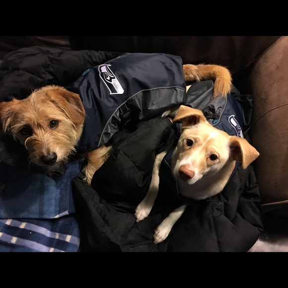 Meet your Posher, Shannon - Picture 5 of 7