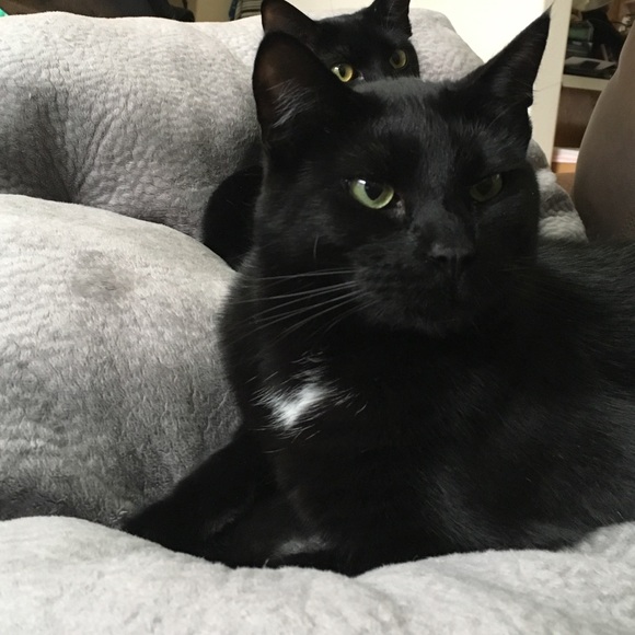 Meet your Posher, Shannon - Picture 6 of 7