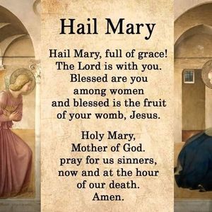 Meet your Posher, Angelia