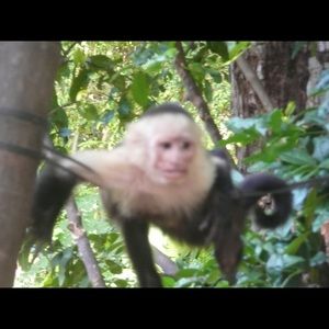 Meet your Posher, Joanne