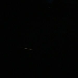 Meet your Posher, Ladylyn