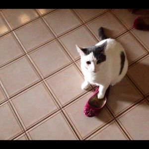 Meet your Posher, Deborah