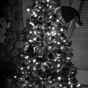 Meet your Posher, Sheena