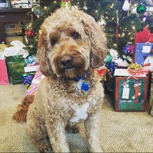 Meet your Posher, Jill