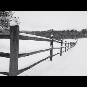 Meet your Posher, Robin