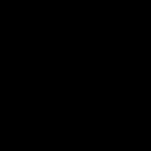 Meet your Posher, Tessa