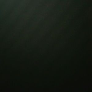 Meet your Posher, Gary