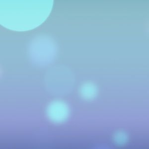 Meet your Posher, Bernadette