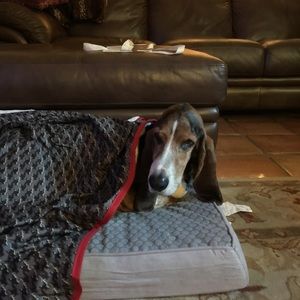 Meet your Posher, Jodi