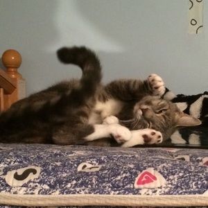 Meet your Posher, Paula